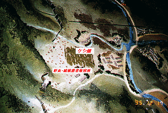 政治犯収容所内のケシ畑